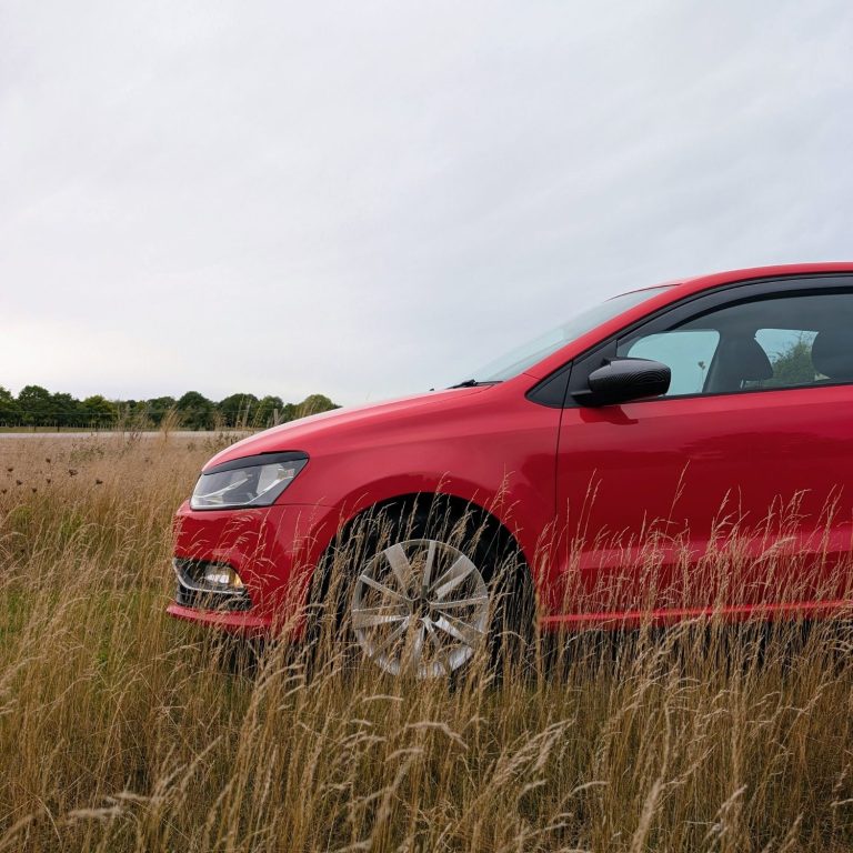 Bulkhead Dog van with bulkhead modification